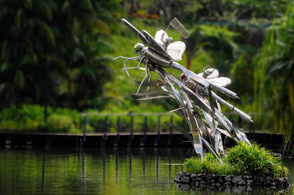 Chapter 7 Dragon Fly Riders by Elsie Yu