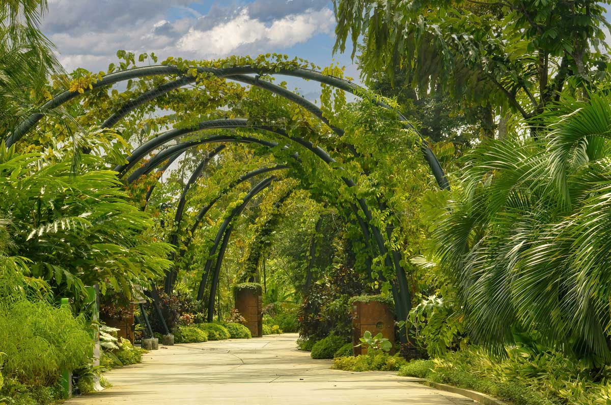 Chapter 9 Arches Singapore Botanical Gardens